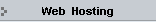 Web  Hosting